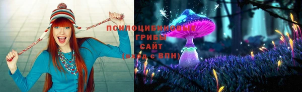 марки nbome Бородино