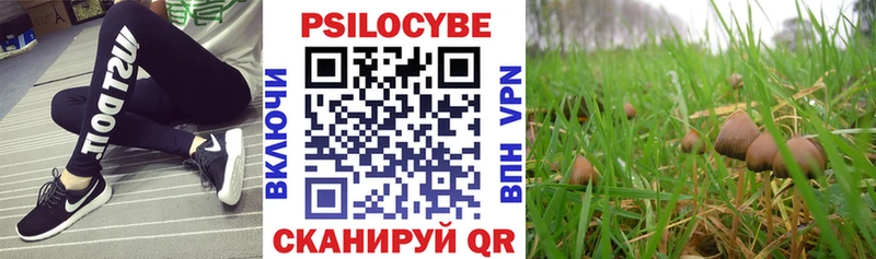 Галлюциногенные грибы мухоморы  где найти наркотики  Петрозаводск 